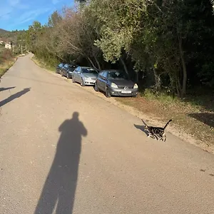 Vedran Labin (Istria)
